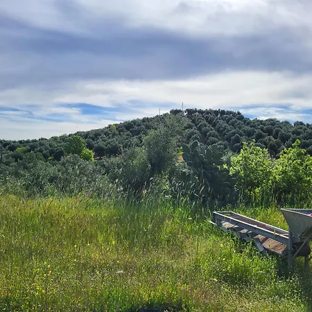 Дом отдыха Mani Hill House