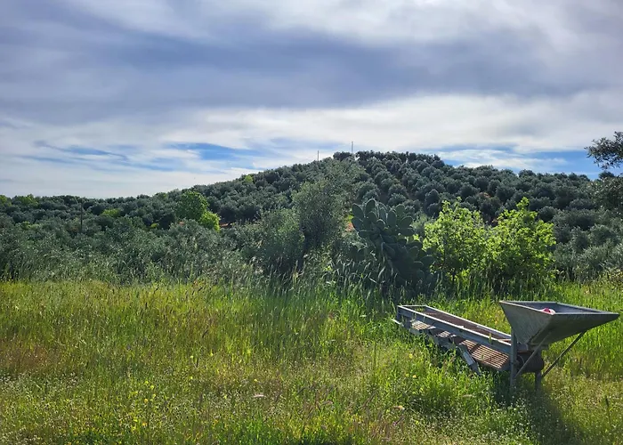 Prázdninový dům Mani Hill House